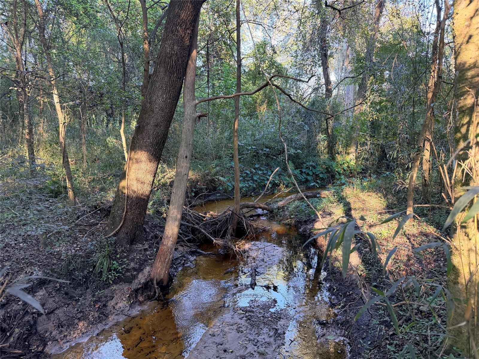 Turkey creek flows through back of property