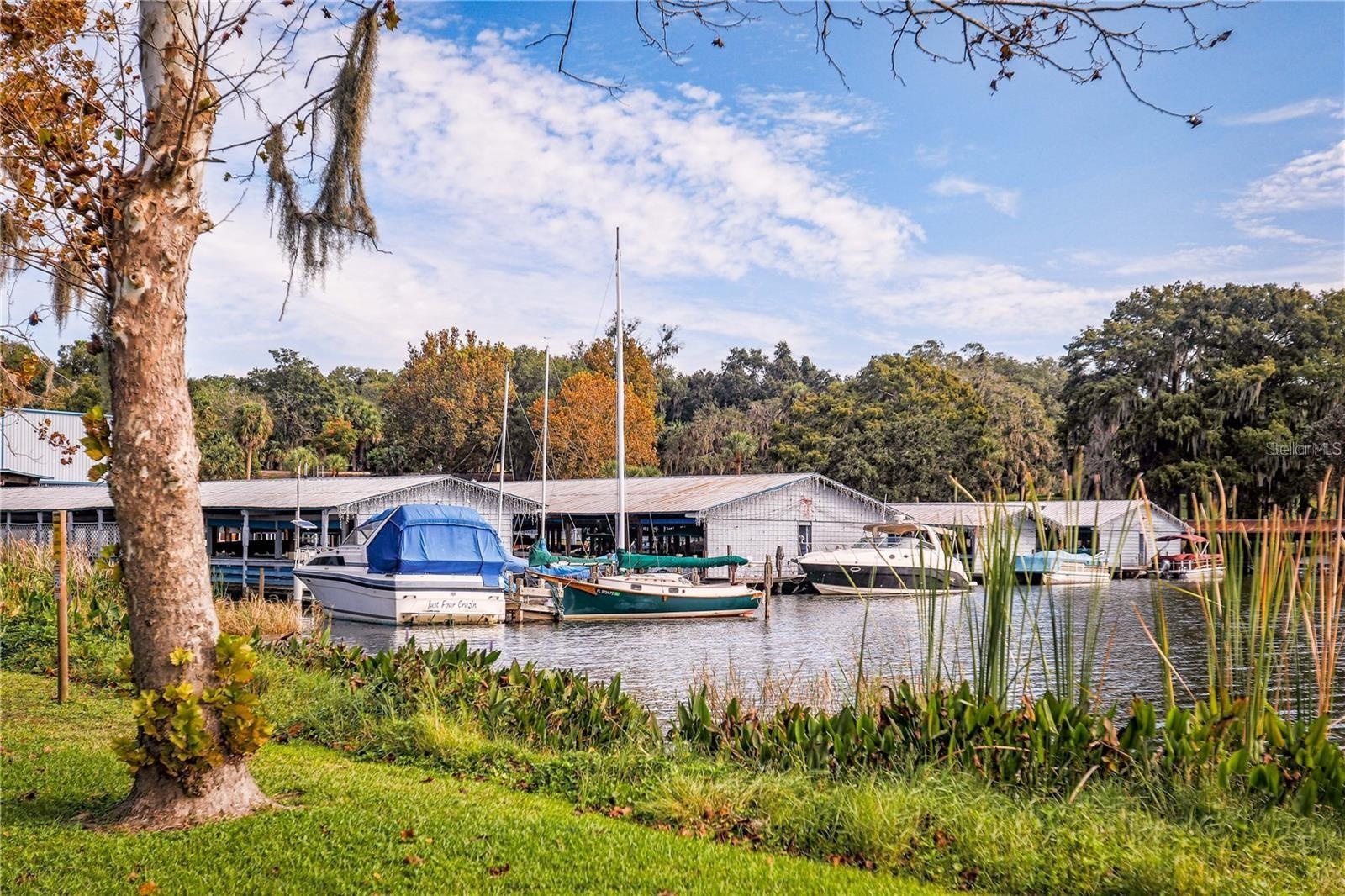 Located near the full-service Mount Dora Marina, offering easy boat access, storage, and direct navigation to Lake Dora and the Harris Chain of Lakes.