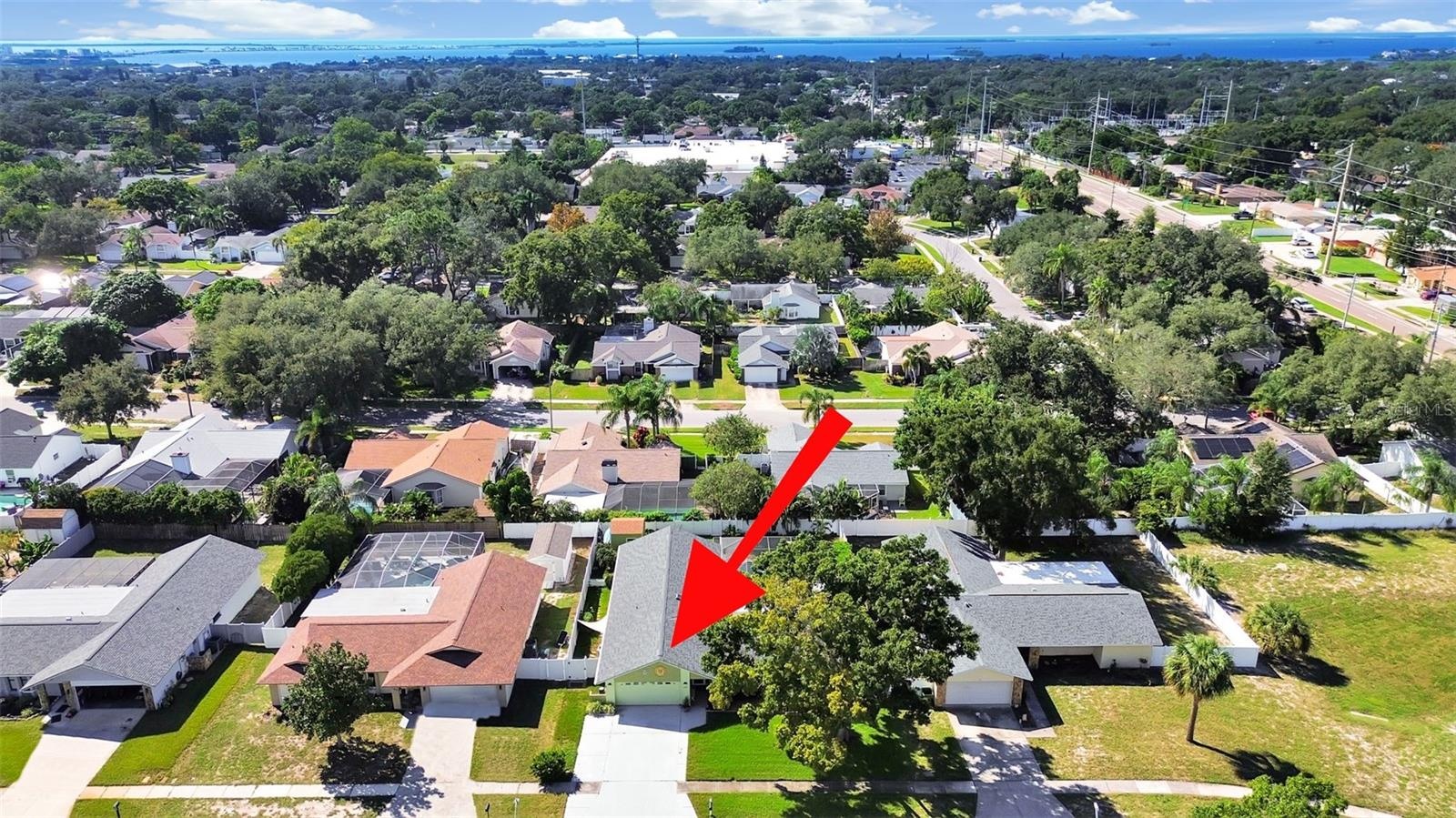 Palm Harbor, FL