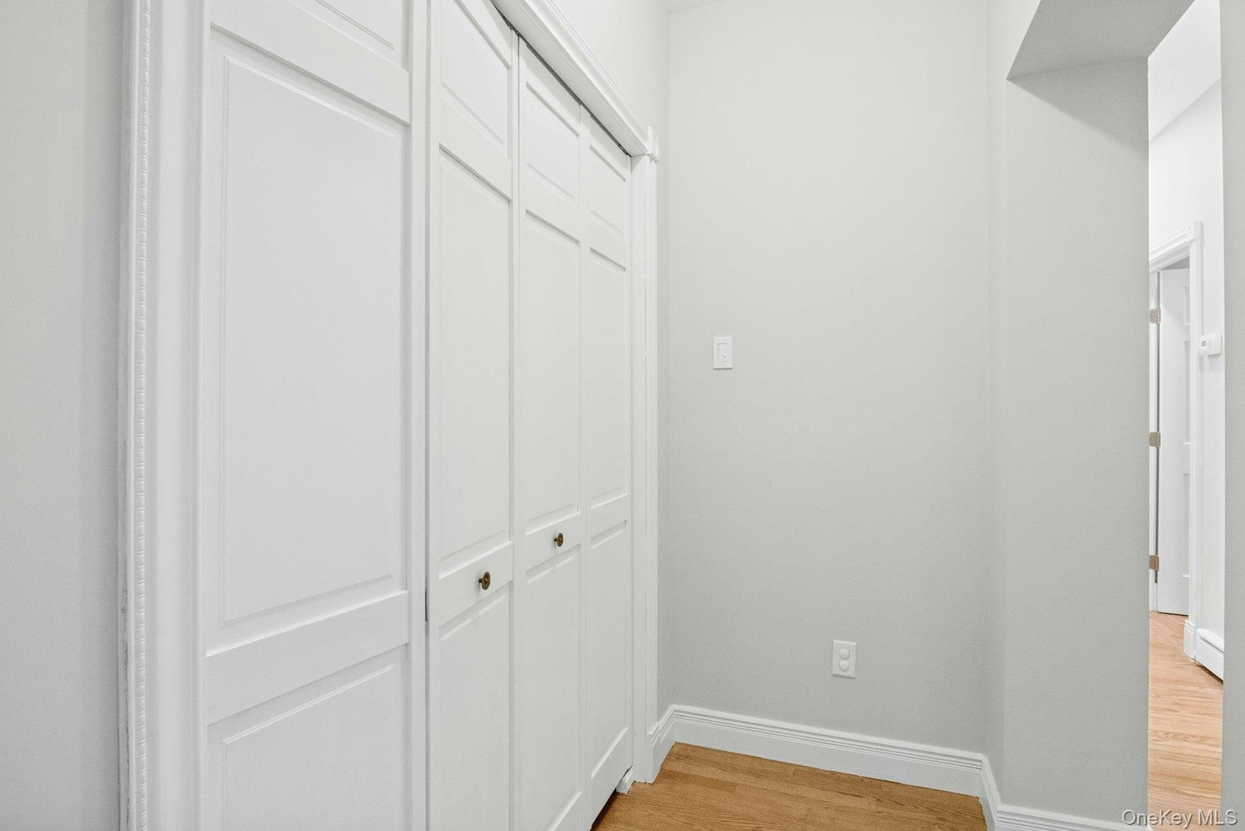 Oversized hallway closet.