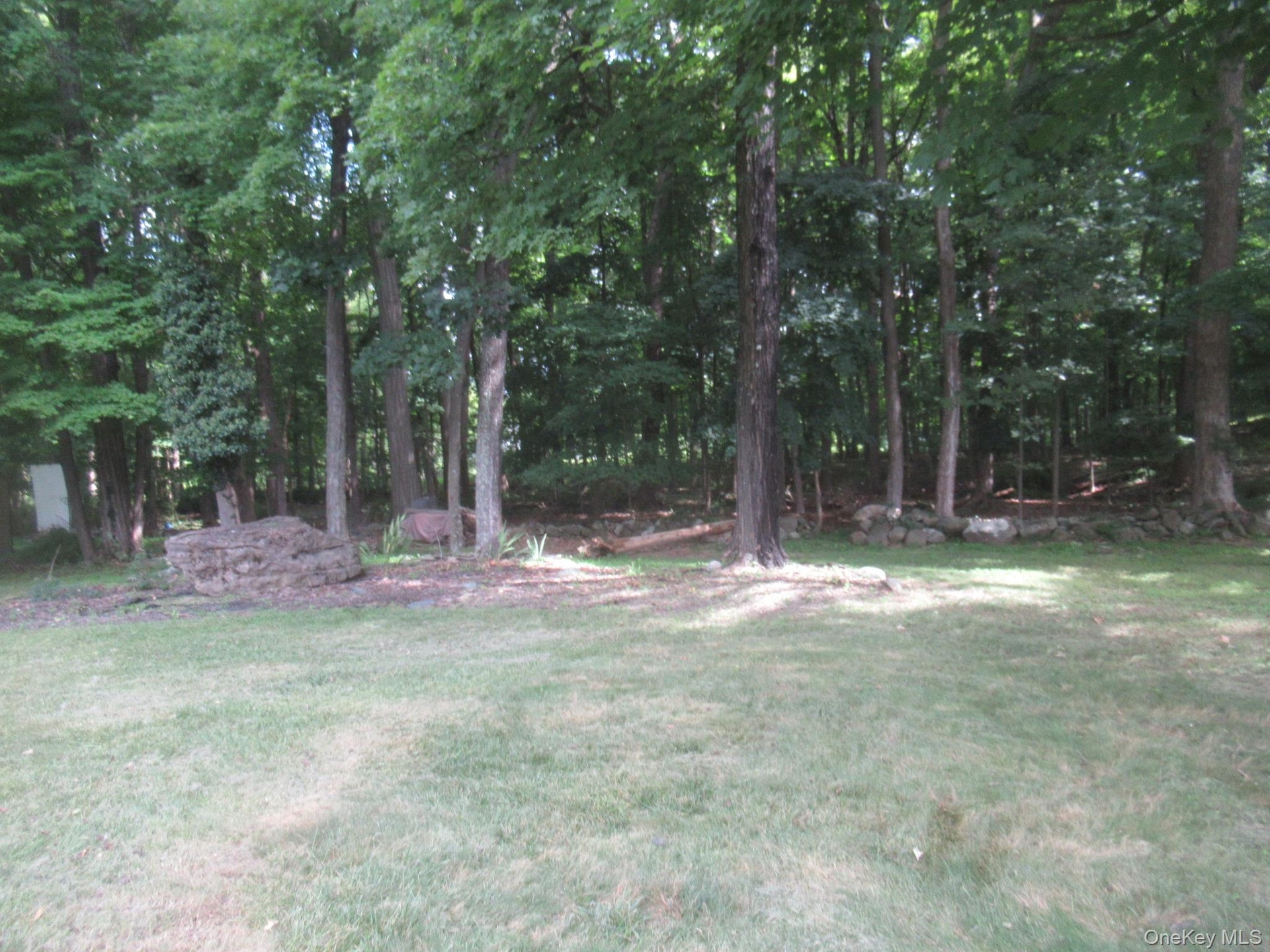 Wooded rear yard