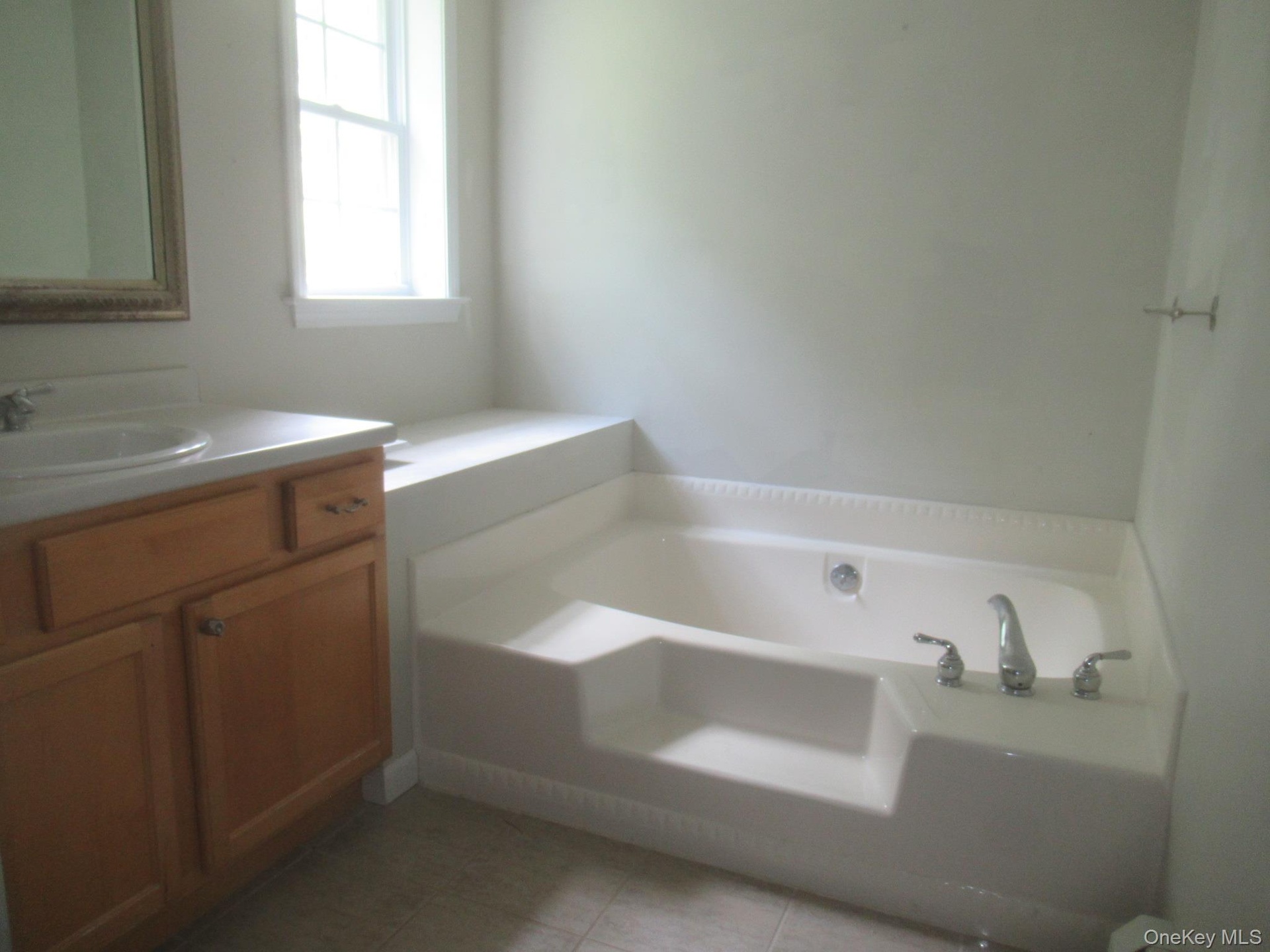 Primary bathroom with soaking tub