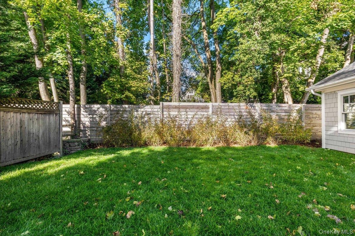 Backyard