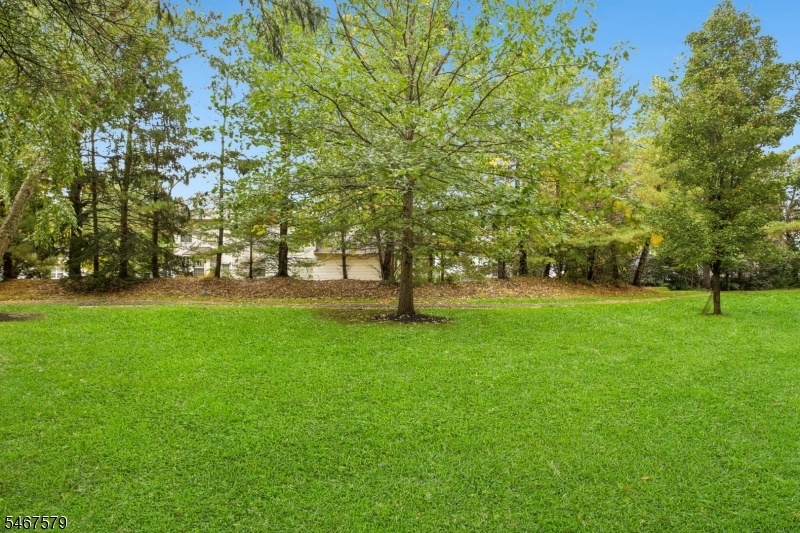 Park-like setting