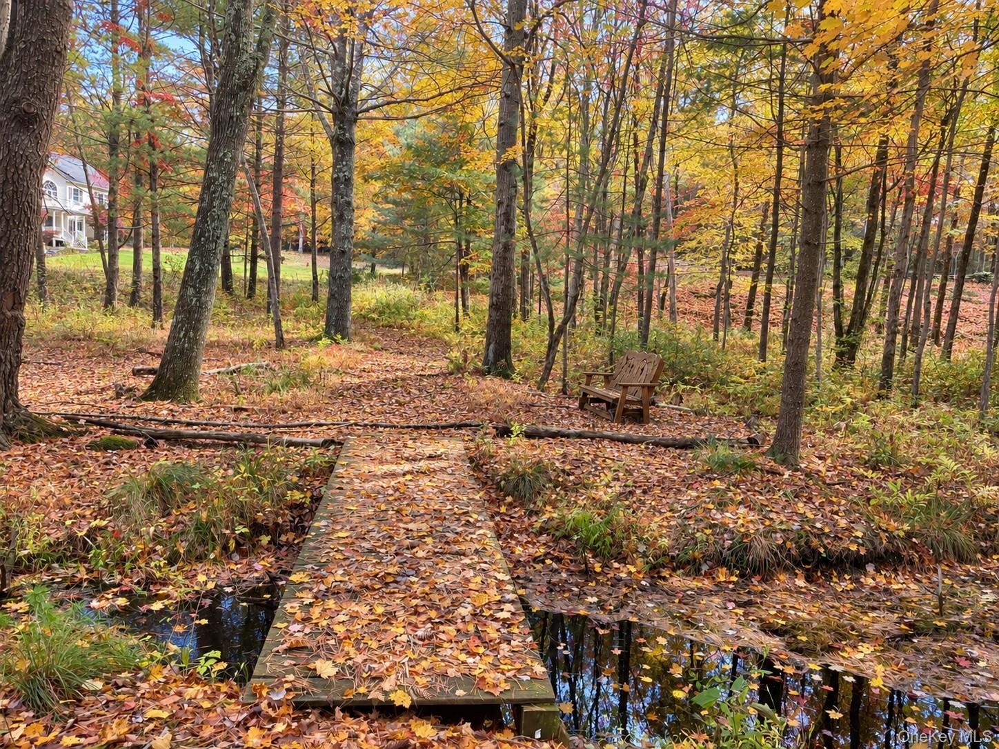 Seasonal creek footbridge
