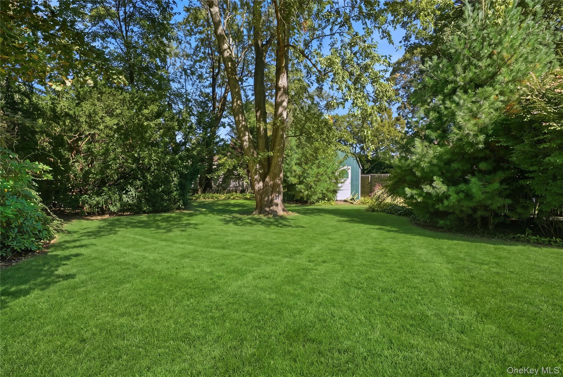 Sprawling Backyard