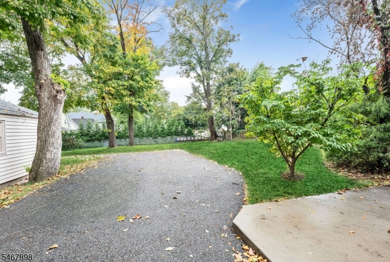 Driveway