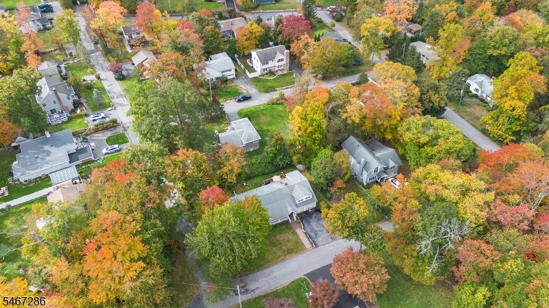 Drone view