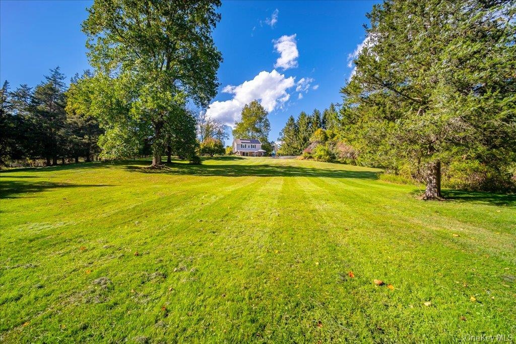 Lush lawns looking back up towards the side patio and home.