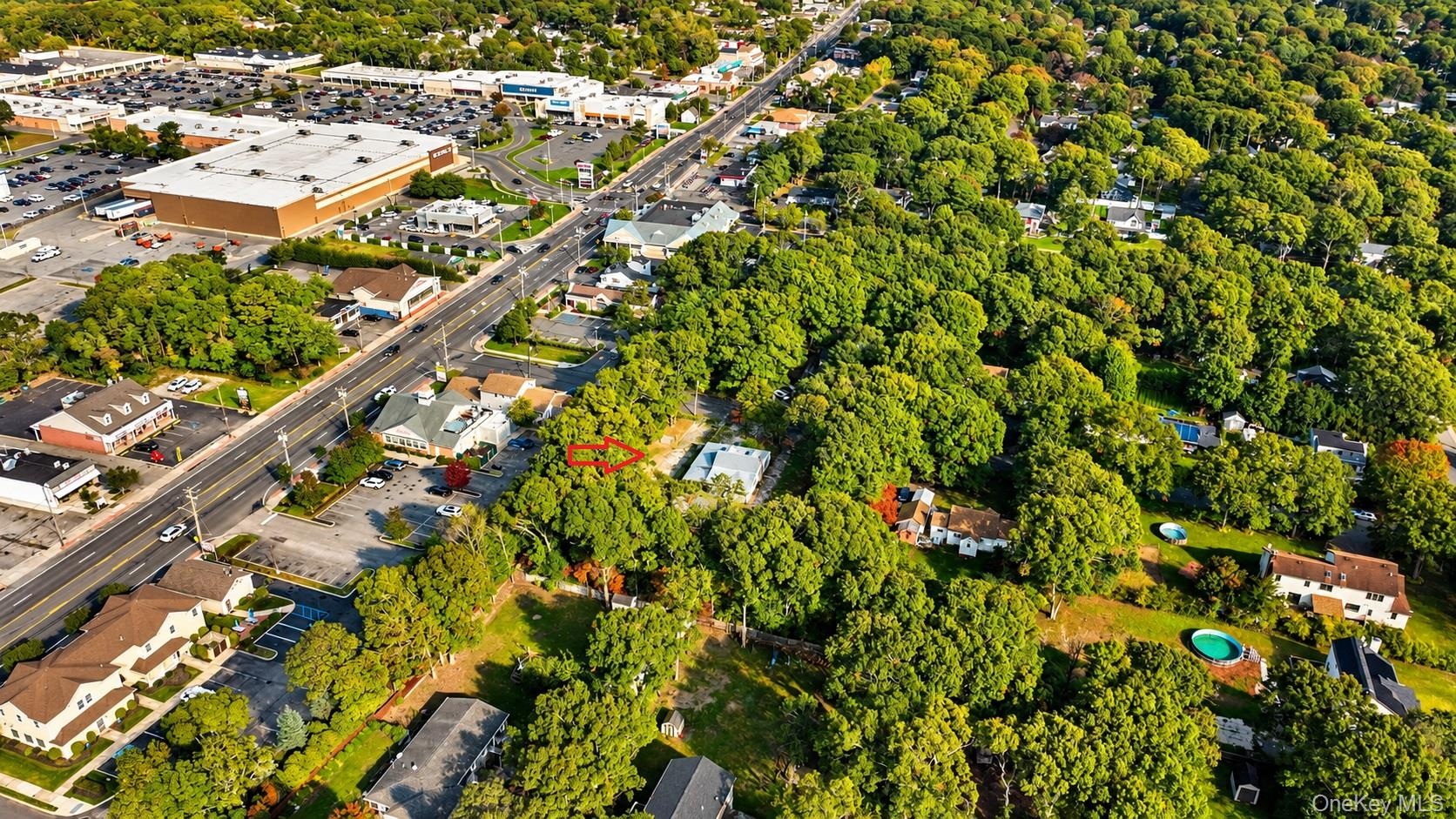 Neighborhood Aerial View