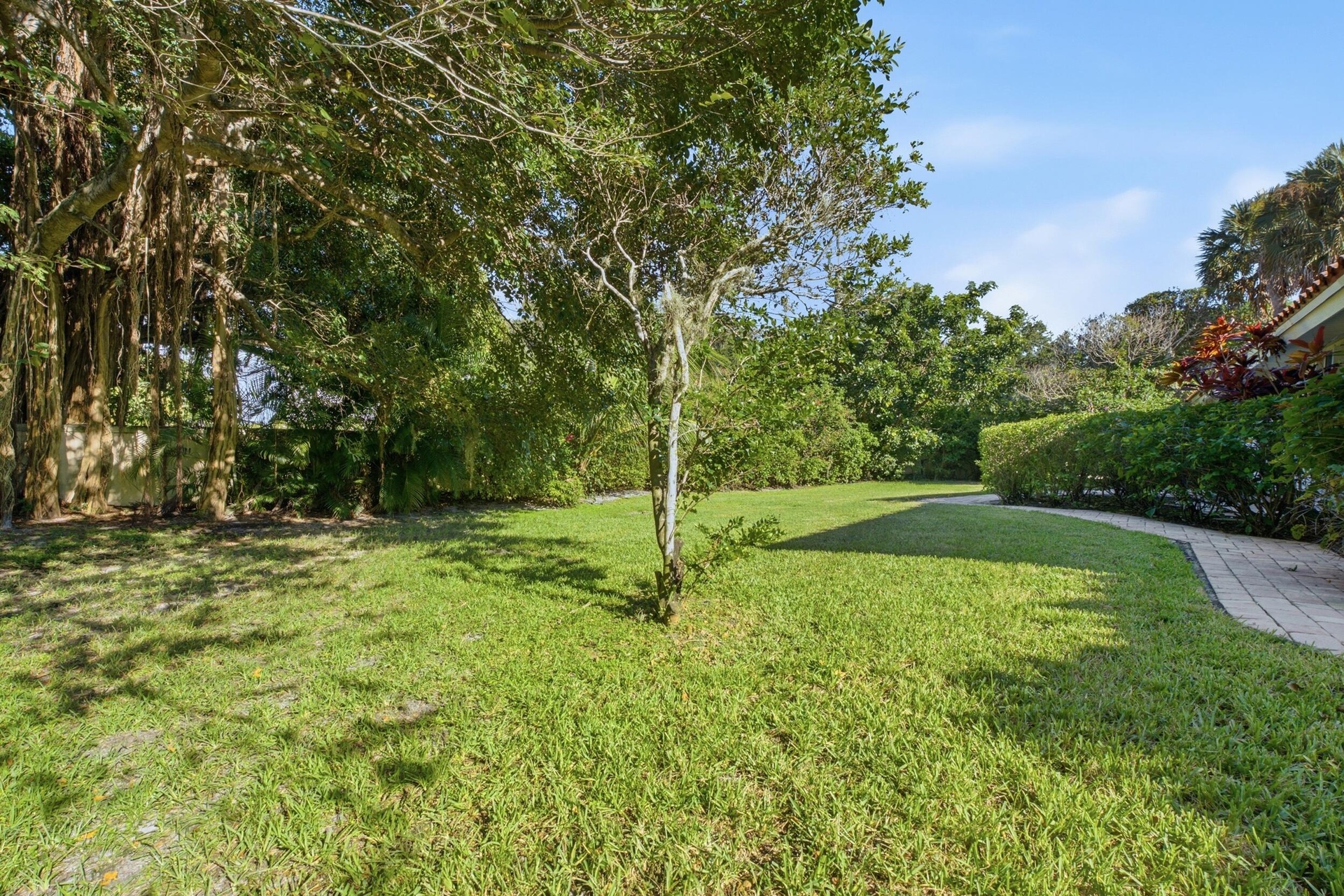 Expansive backyard featuring a manicured lawn, mature trees, dense perimeter landscaping, and a paved walkway