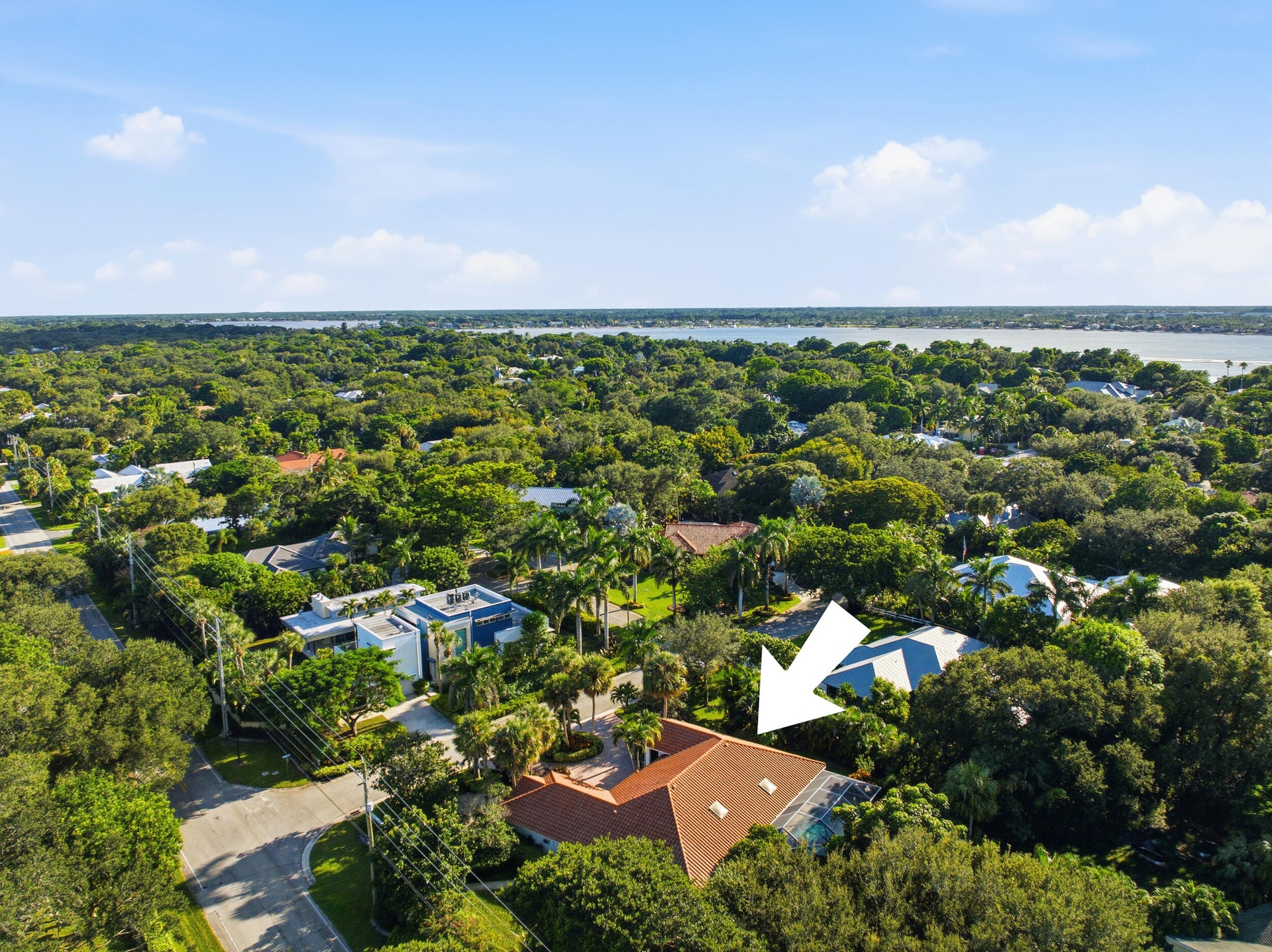 Aerial perspective of property featuring a tile roof, dual skylights, an enclosed rear pool, and mature landscaping