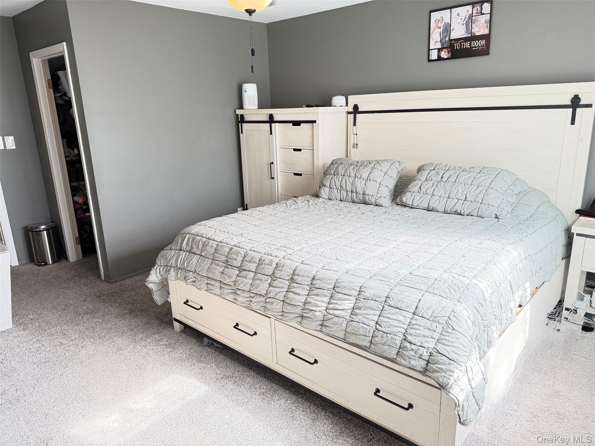 Plush carpeting, recessed walk-in closet, and neutral wall tones