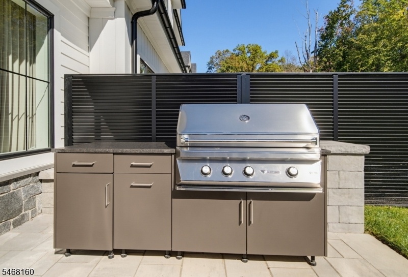 Exterior Back Grill