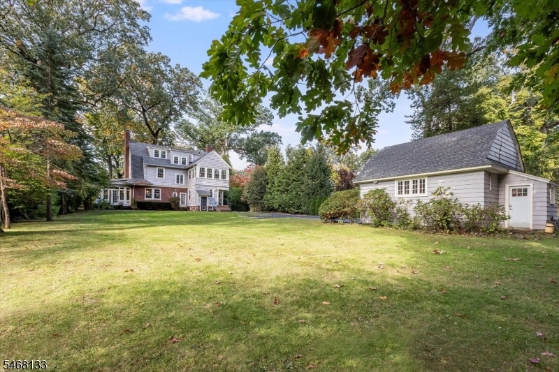 Large Backyard