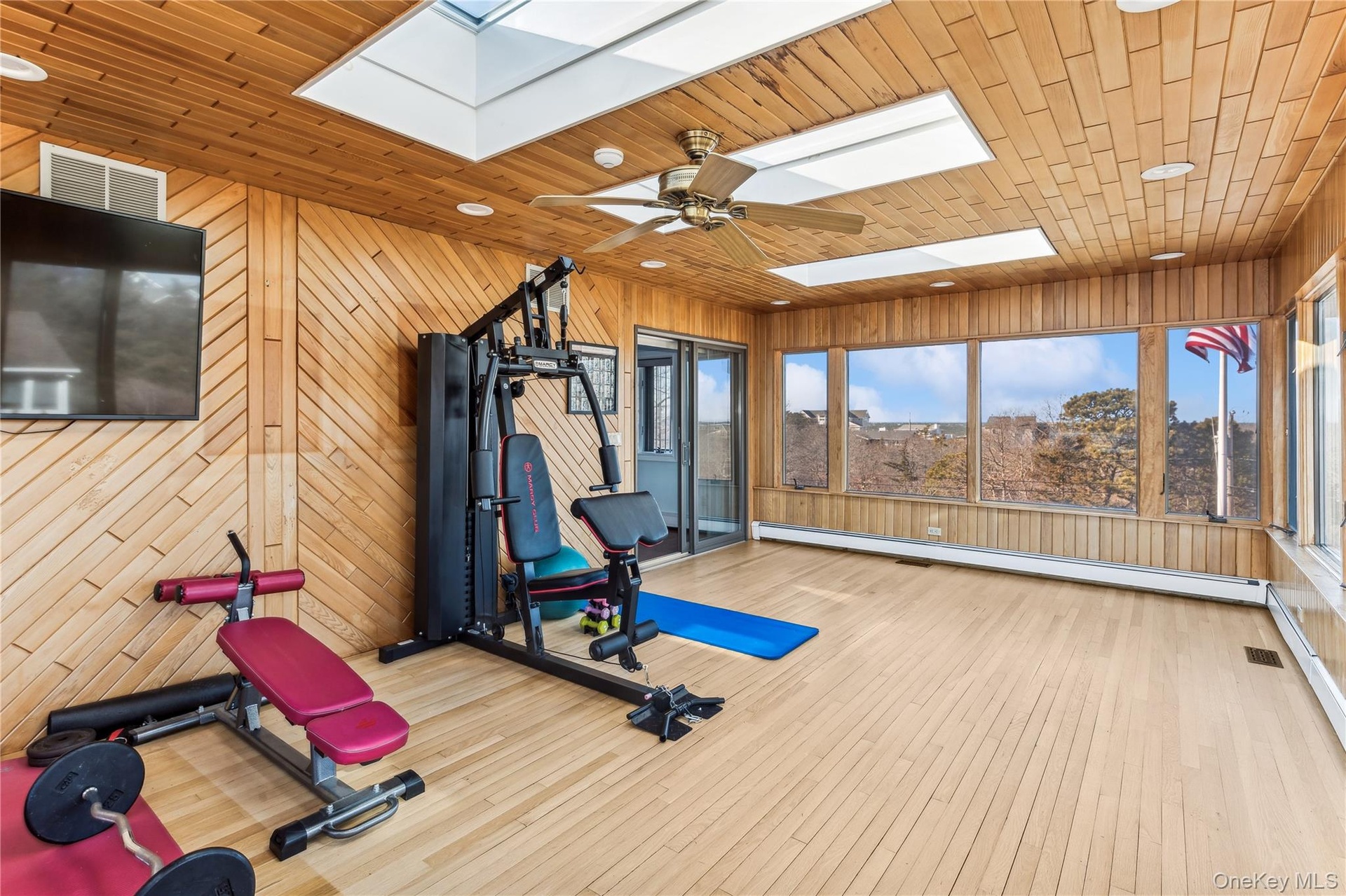Exercise room featuring a baseboard radiator, a skylight, and light hardwood / wood-style floors