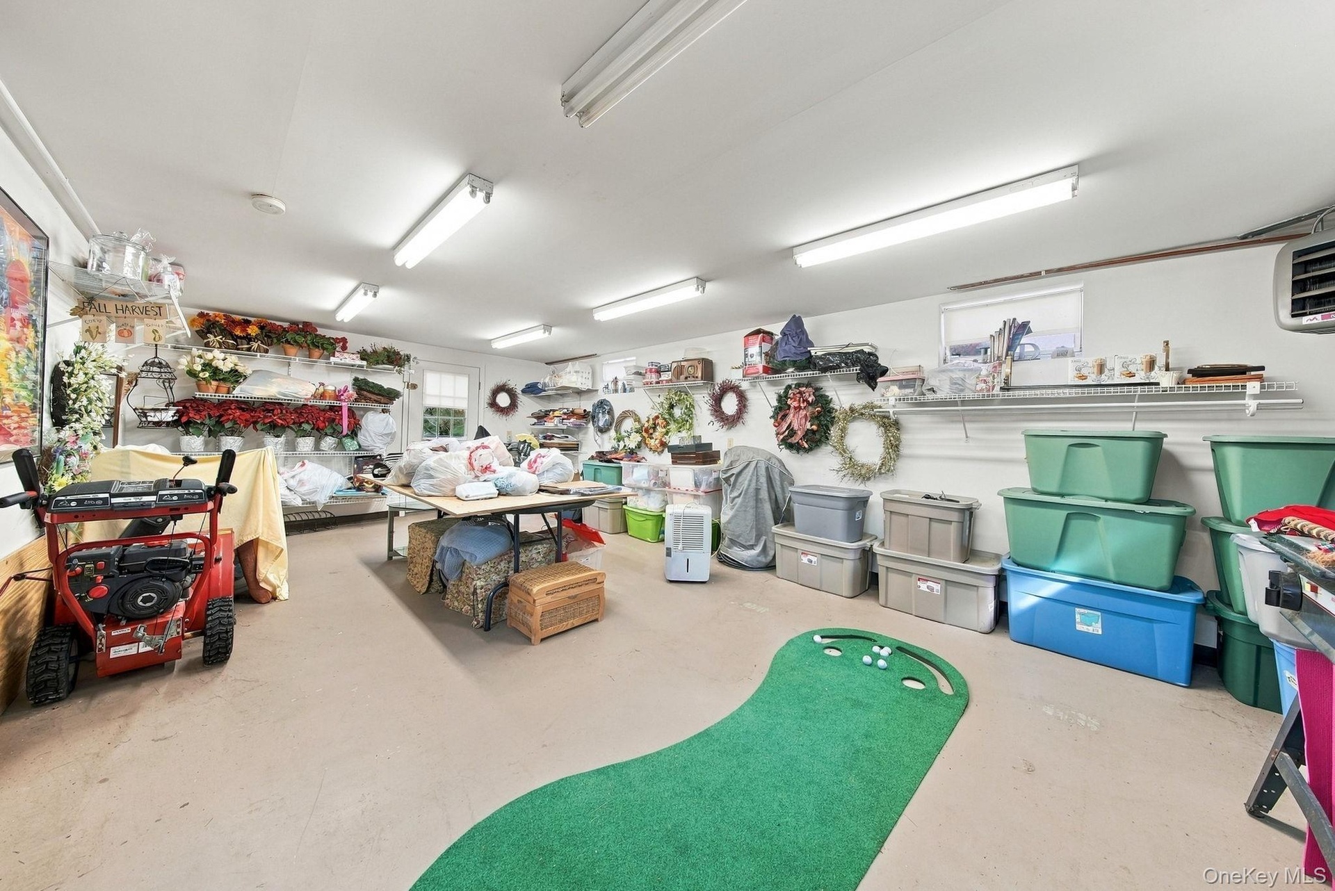 Basement Storage