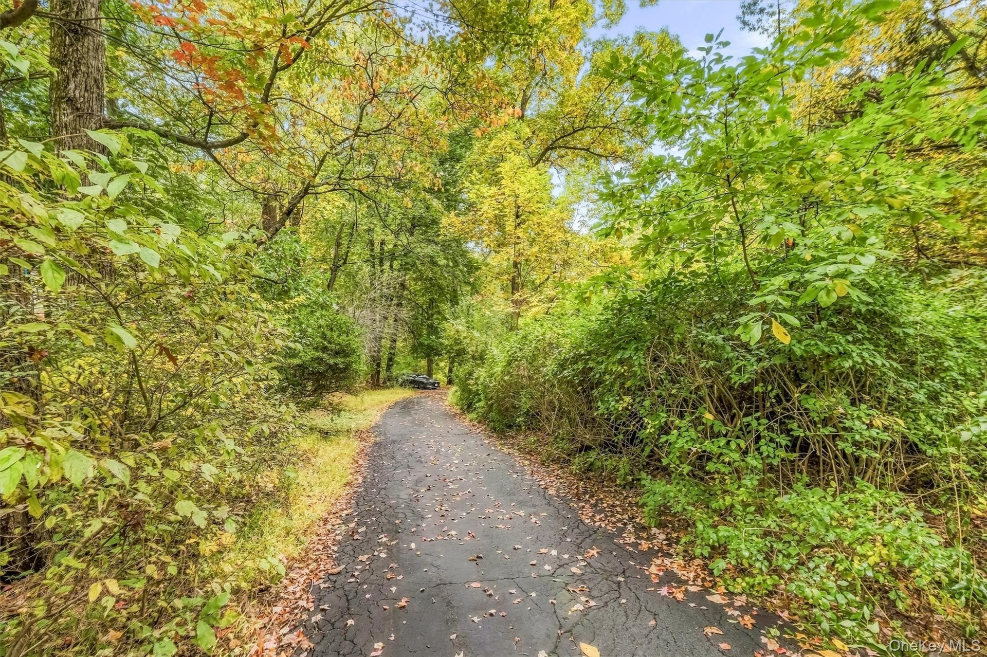 Magical and private setting as you approach the home.