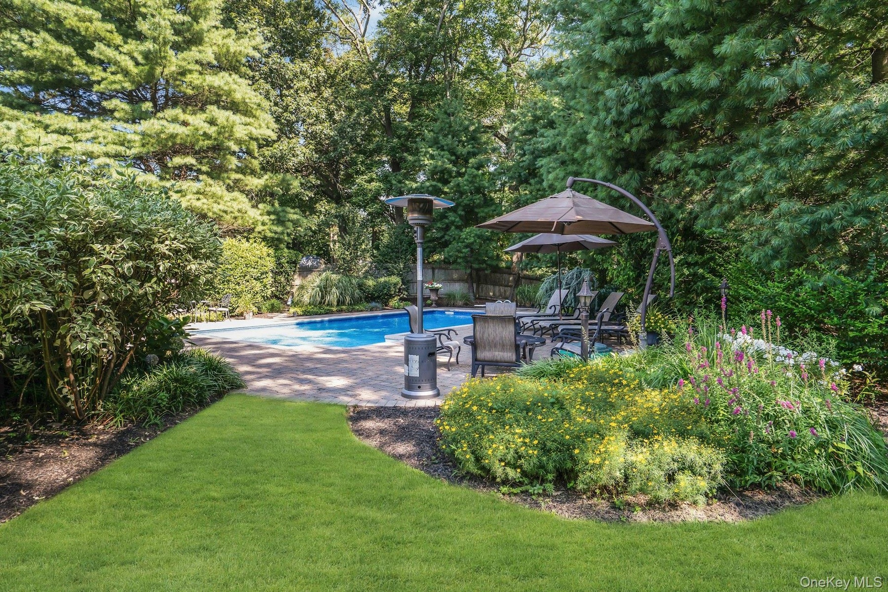 Backyard oasis.