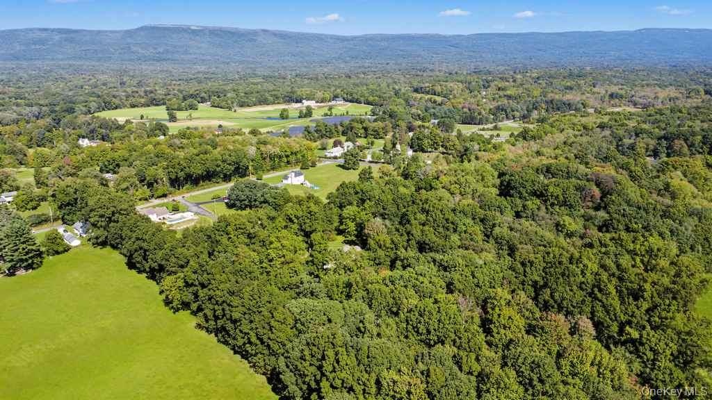 Expansive green landscape featuring abundant mature trees and distant mountain ranges under a clear sky