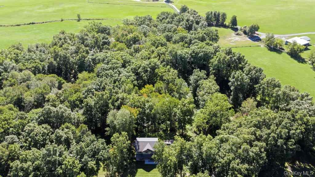Extensive natural tree coverage and a surrounding green landscape