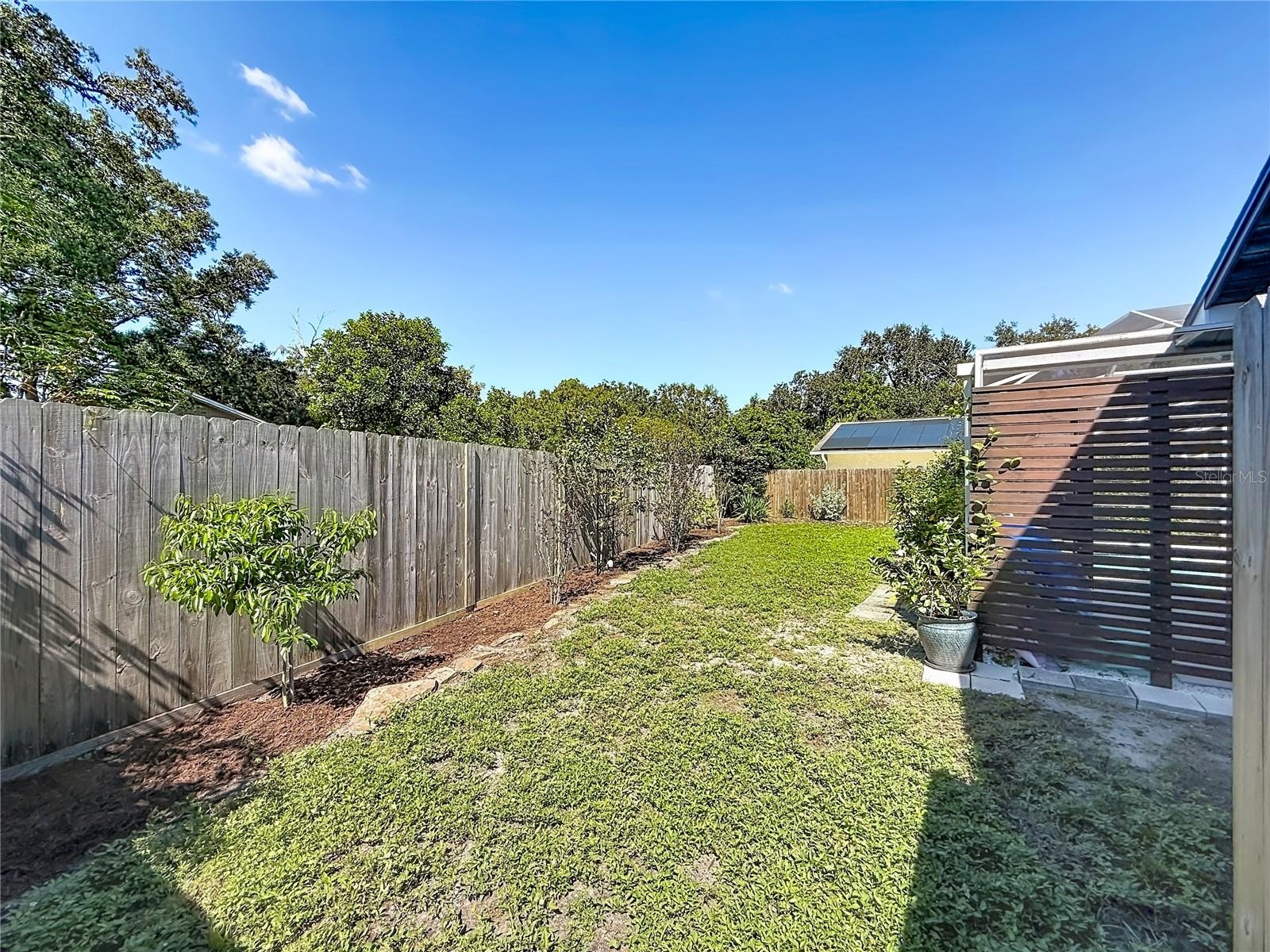Rear Yard