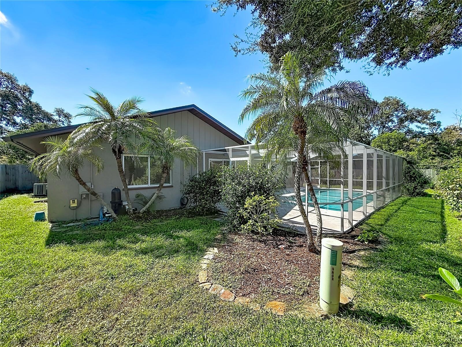 Rear Yard