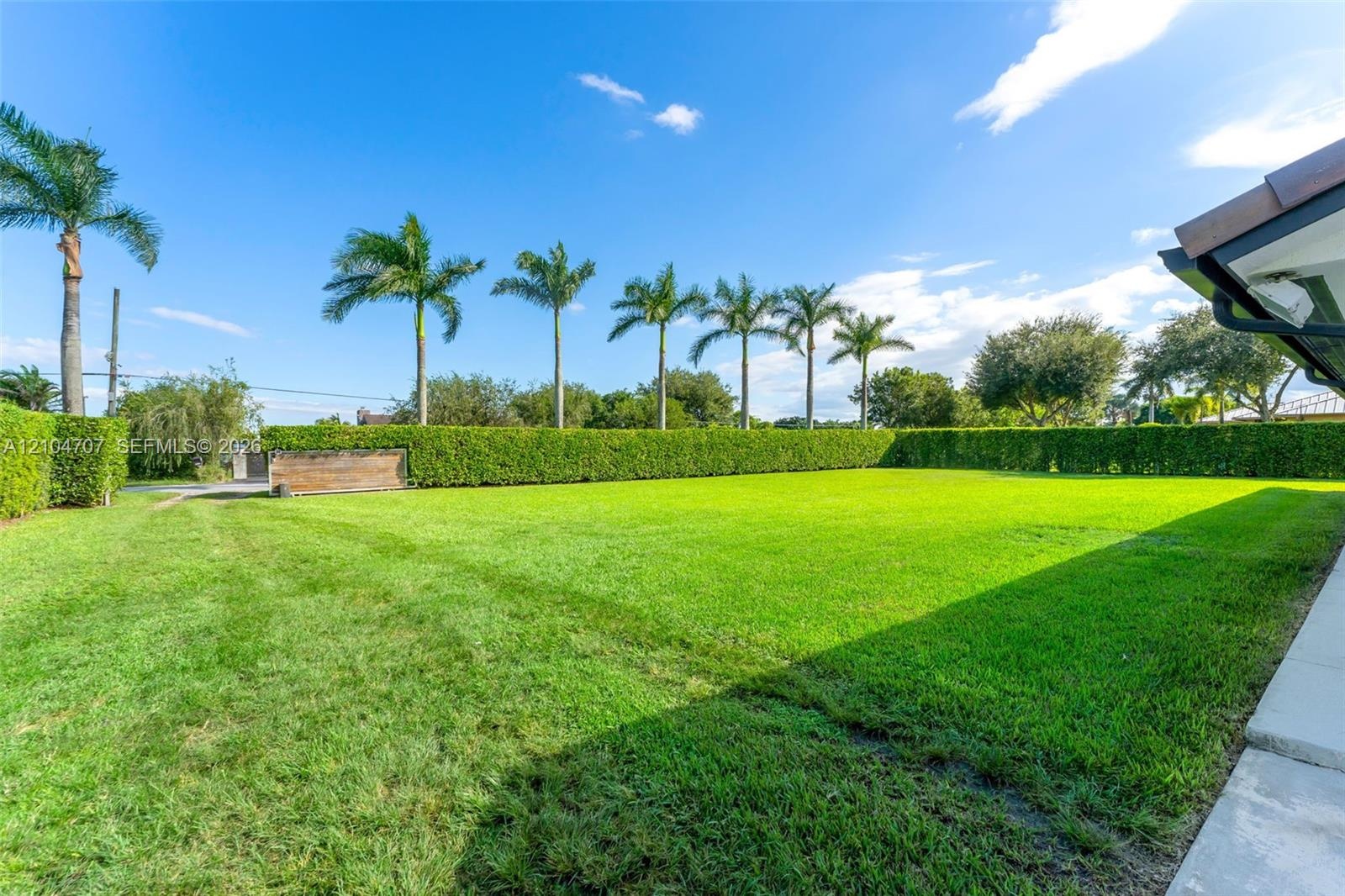 Concrete driveway leading to a multi-panel garage door, set against a manicured lawn with perimeter privacy hedging and mature palm trees