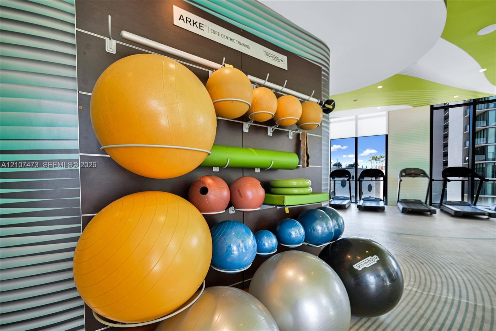 Fitness center featuring a wall-mounted equipment organization system, floor-to-ceiling windows, and patterned floor surfacing