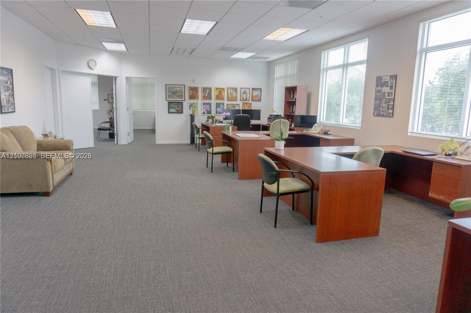 Open-concept workspace featuring carpeted flooring, large multi-pane windows, recessed ceiling lighting, and neutral wall tones