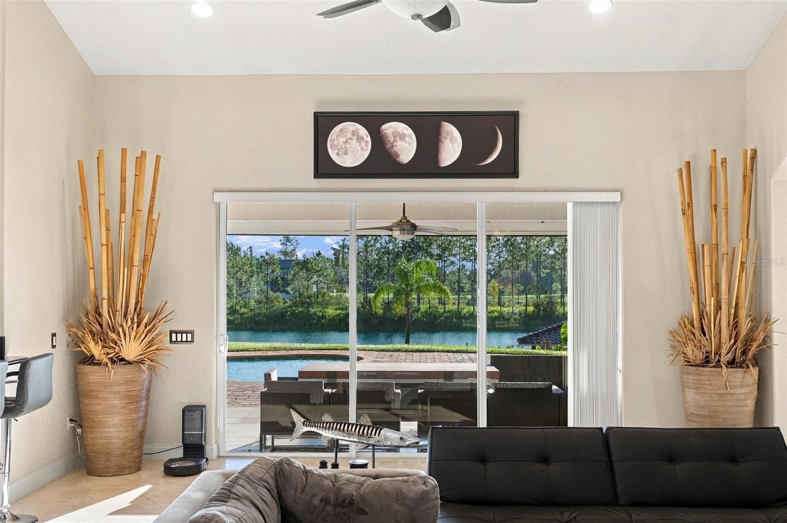 Living Room View