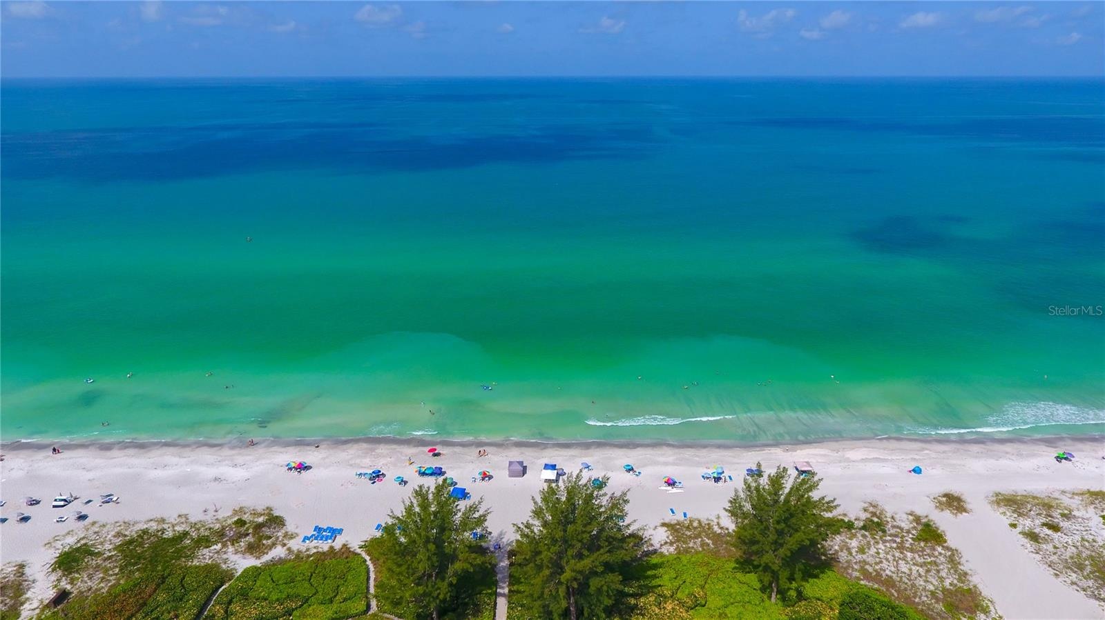 Amazing Colors of the Gulf!