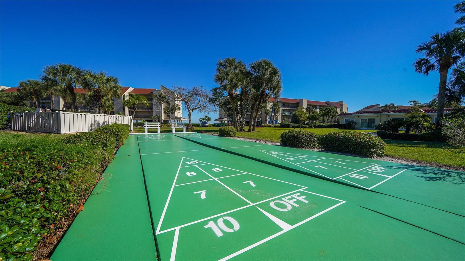 Shuffleboard!