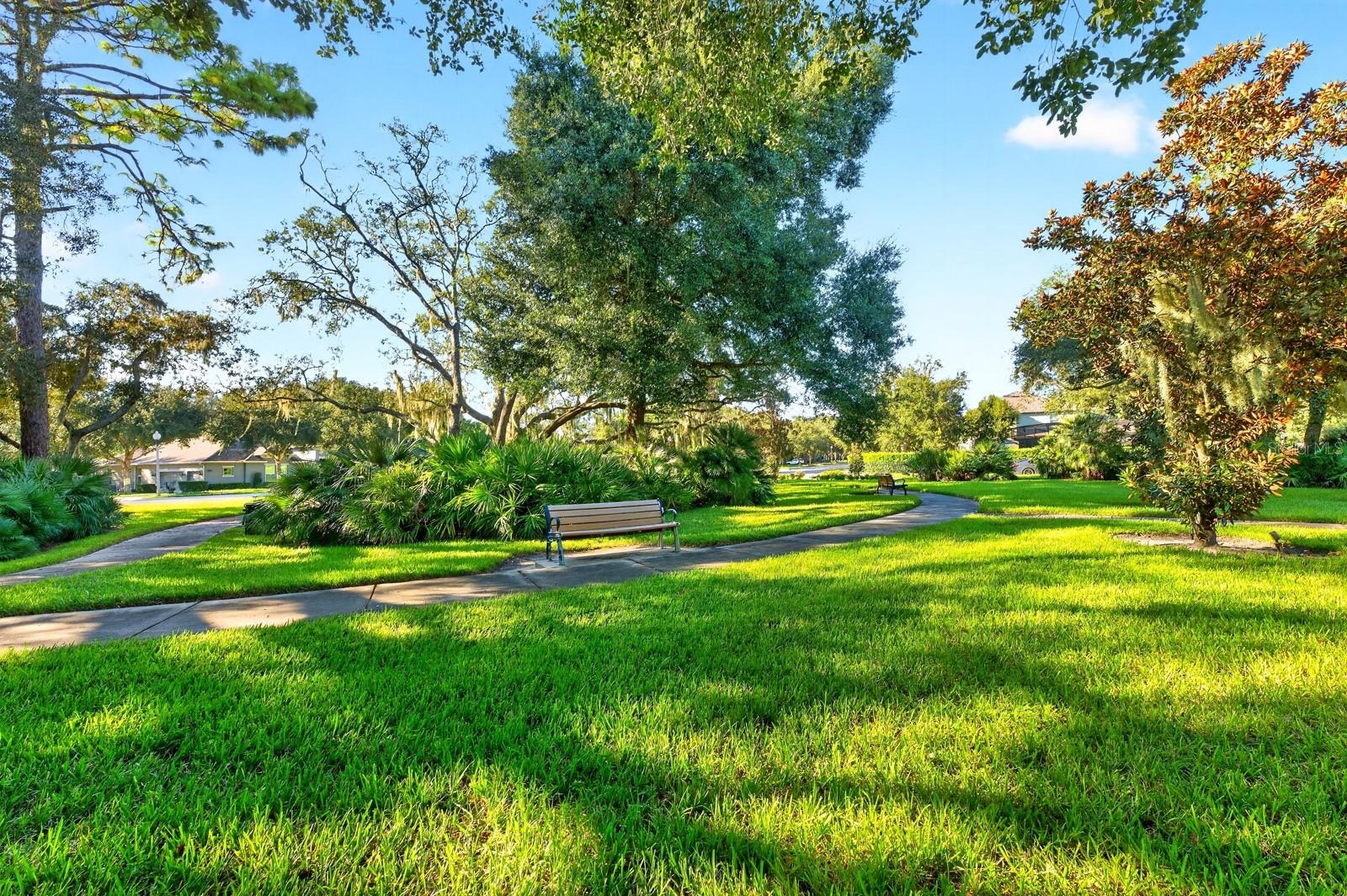 Community Park/Playground.