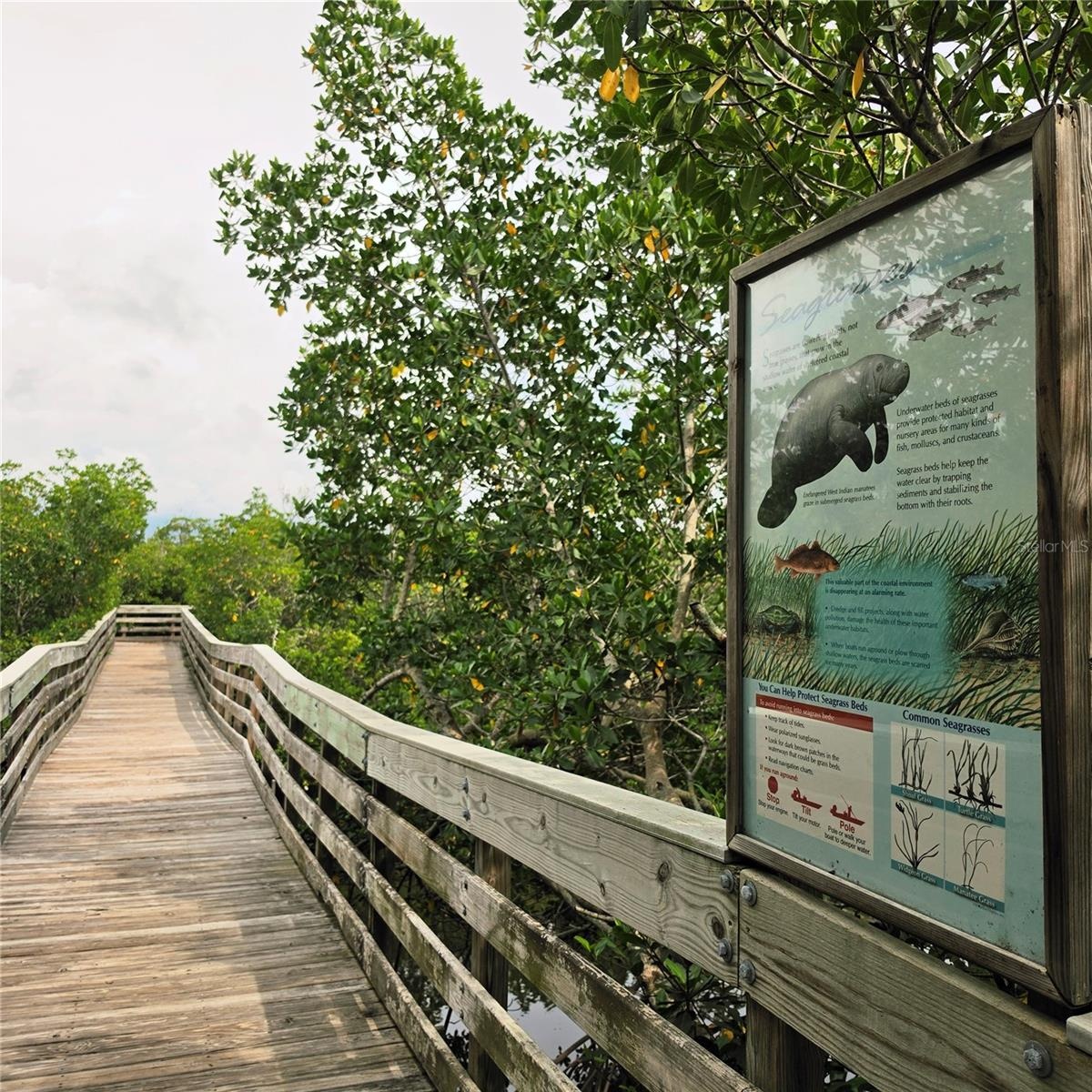 Enjoy the boardwalk to overlook the Intracoastal Waterway.