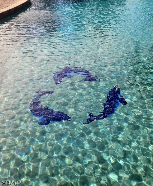 Tiled dolphins pool bottom