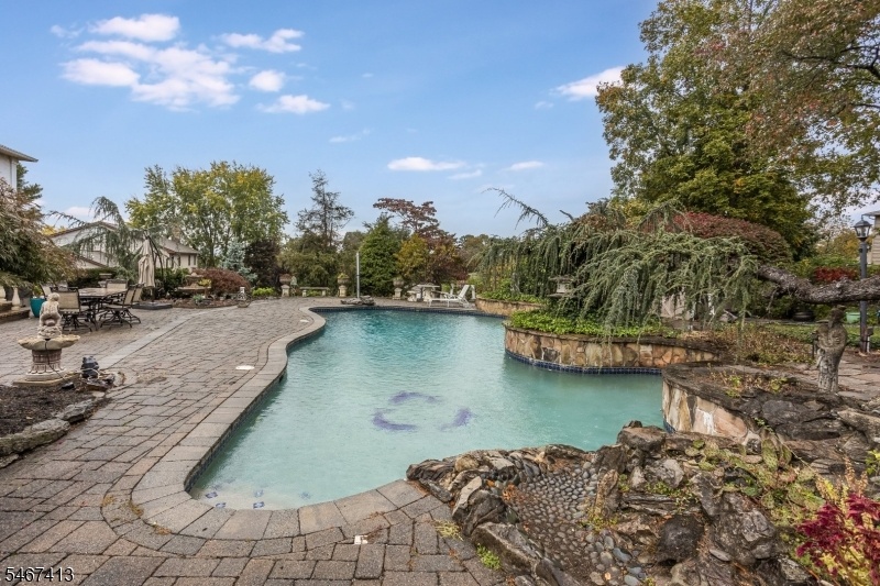 Pool and patio