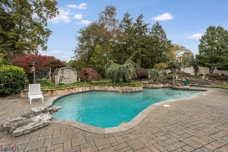 Pool and yard