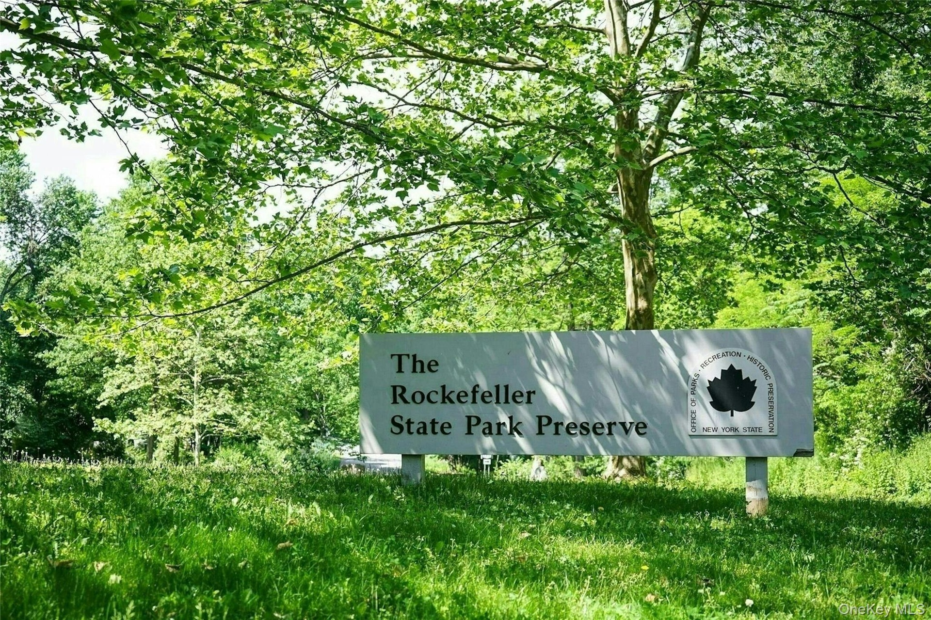 The park's 55 miles of carriage roads allows visitors to hike/view the various habitats of the 1,771-acre park