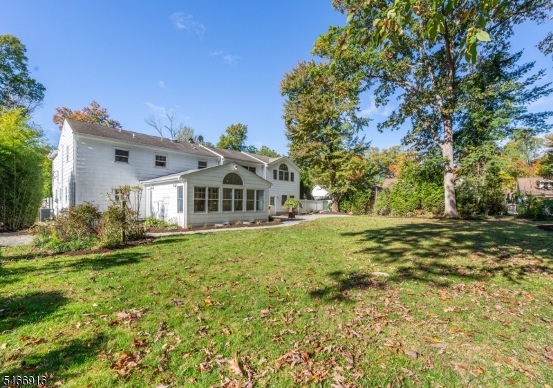 Rear Yard