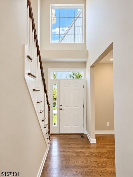 Sunny 2 story entry foyer