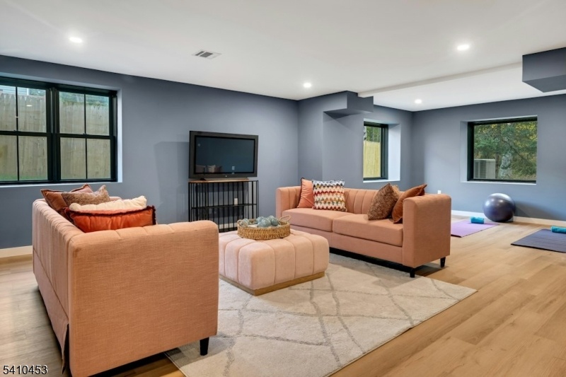 Lower Level Family Room