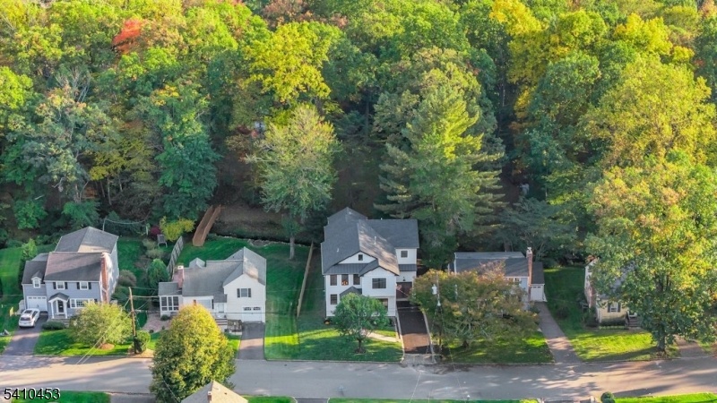 Drone View