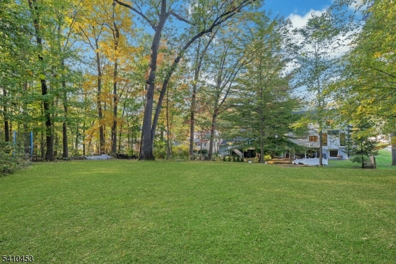 Expansive Yard