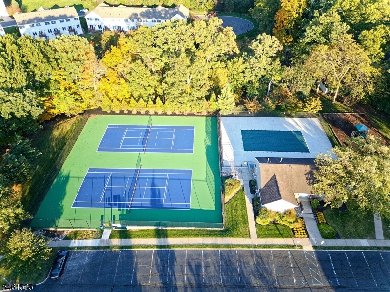 Pickleball Courts