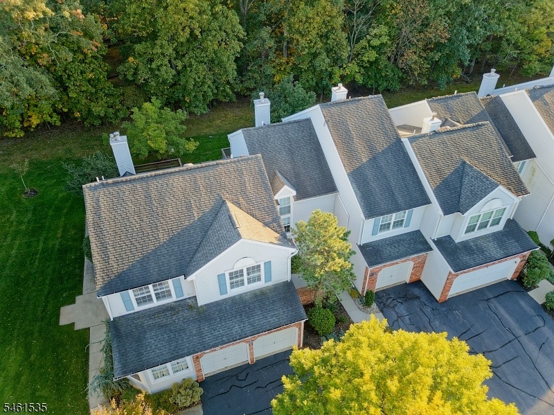 Drone view