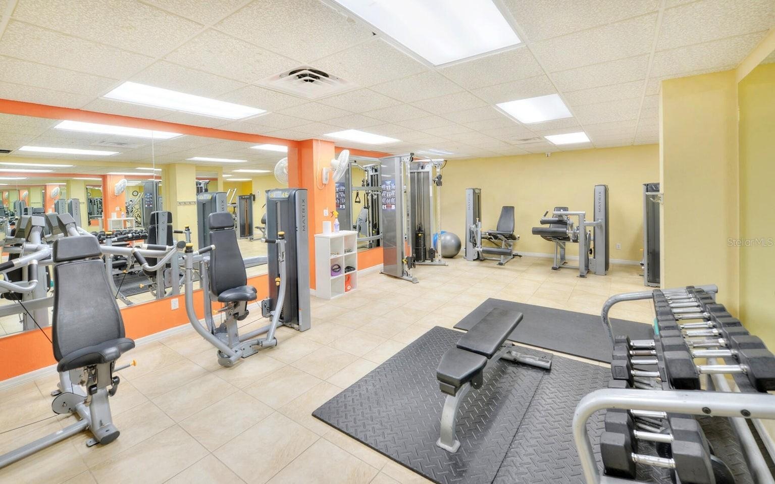 Fitness Center - Weights & Strength Training