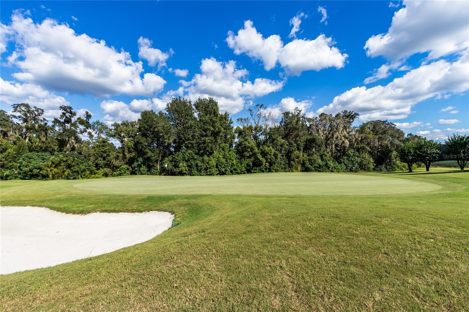 GREAT views of South course