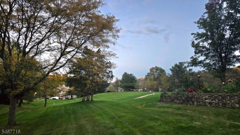 Open field  across the street