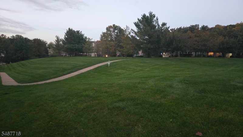 Twilight  Walks on the Path